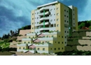 מדורגי צאלים